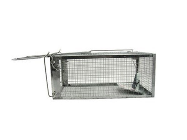 捕鼠笼,湖南湘慧环境管理科技有限公司,株洲灭鼠公司,株洲灭老鼠,株洲灭害公司,株洲杀虫公司,株洲灭蟑螂公司,株洲灭四害,疫情长沙环境消杀公司,株洲环境消毒公司,长沙灭鼠公司